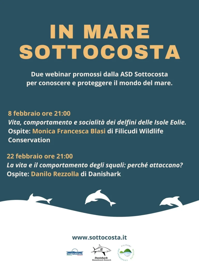 IN MARE SOTTOCOSTA, 8 e 22 febbraio 2024 ore 21.00: locandina dei webinar In mare Sottocosta di febbraio 2024