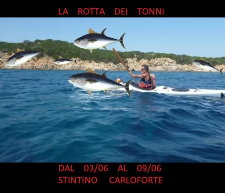 News La Rotta dei Tonni in Kayak: locandina della Rotta dei Tonni da Stintino a Carloforte