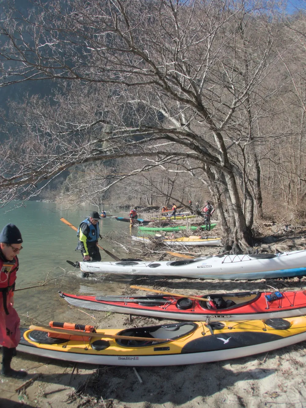Miglia nautiche e vie d’uscita: kayak da mare tirati a riva in un punto di sbarco, sotto gli alberi