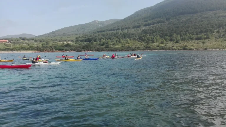 Da Porto Ferro e Porto Conte (Sardegna): gruppo di kayak sul mare calmo davanti alle colline