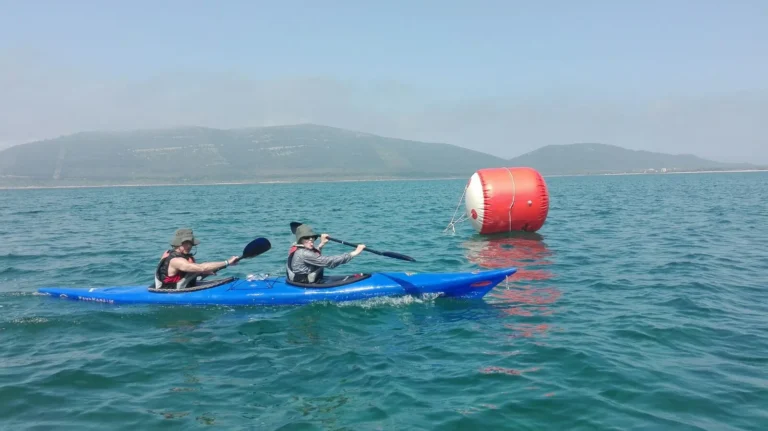 Da Porto Ferro e Porto Conte (Sardegna): kayak accanto alla boa rossa sul mare turchese