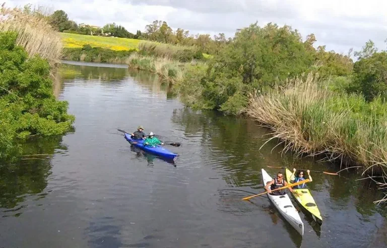 Da Porto Ferro e Porto Conte (Sardegna): kayak sul canale tra la vegetazione