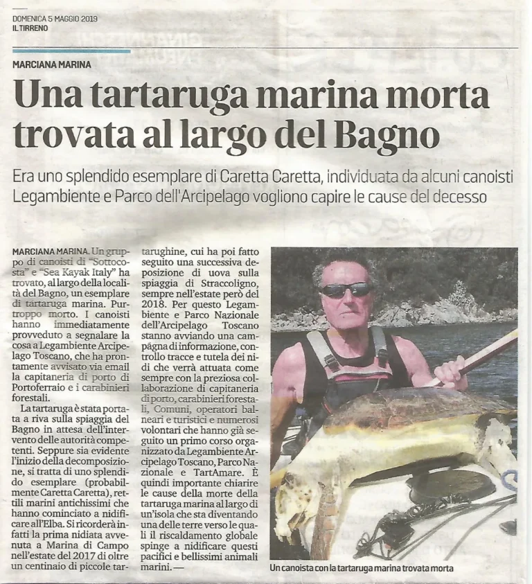 News Raduno all’Elba dal 2 al 5 maggio con recupero tartaruga marina: locandina dell’evento