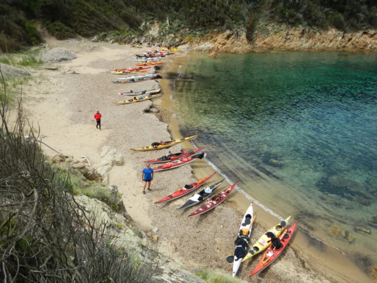 News Tre giorni all’Elba 3-5 Maggio 2019: kayak sulla spiaggetta tra la macchia